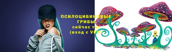 гидропоника Дмитриев