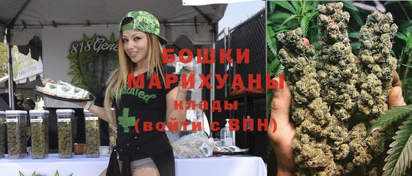 гидропоника Дмитриев