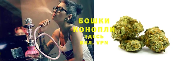 спиды Дмитров