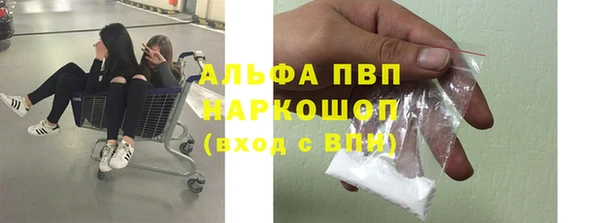 гидропоника Дмитриев