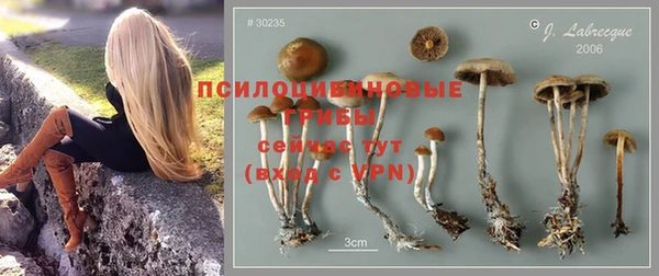 спиды Дмитров