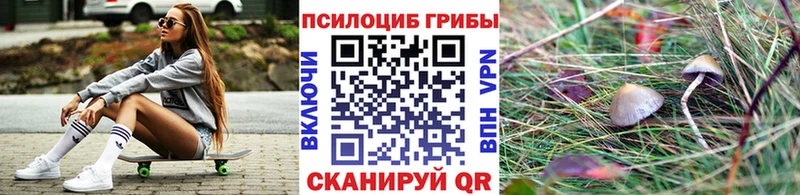 Купить  Дорогобуж  Псилоцибиновые грибы ЛСД 